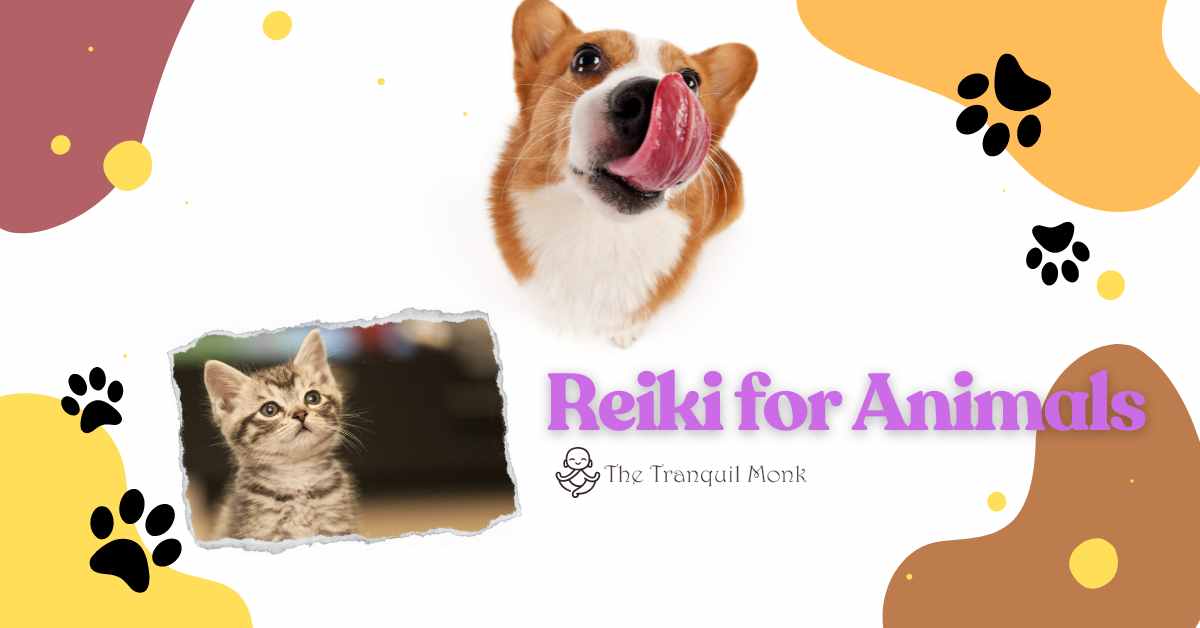 Can you do Reiki on Animals